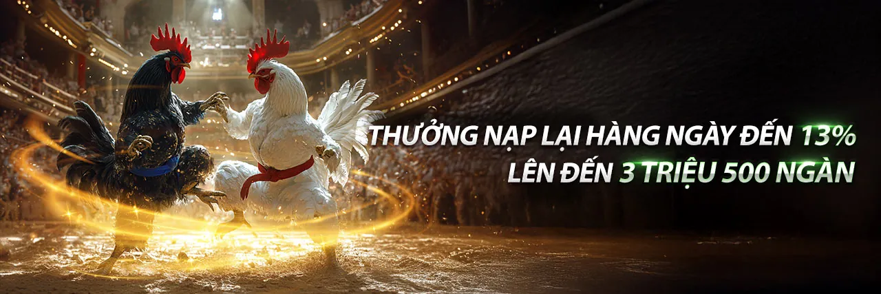 Hình ảnh minh họa Từ điển Cờ bạc M-O